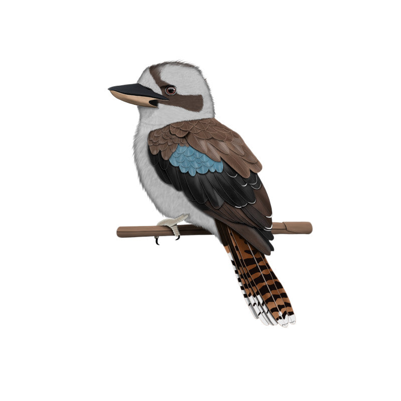 Kookaburra Collection | Australian Bird Decor & Apparel Gifts – jz