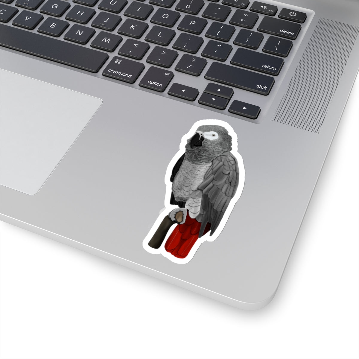 Grey Parrot Bird Kiss-Cut Sticker - jz.birds