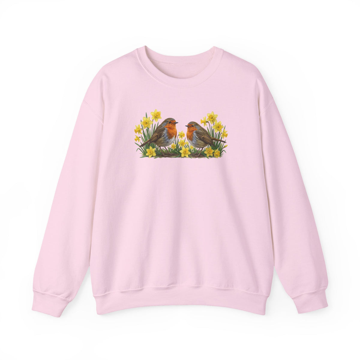 Rotkehlchen Sweatshirt Vogelmotiv – Animal Graphic Tee, Casual Everyday Wear