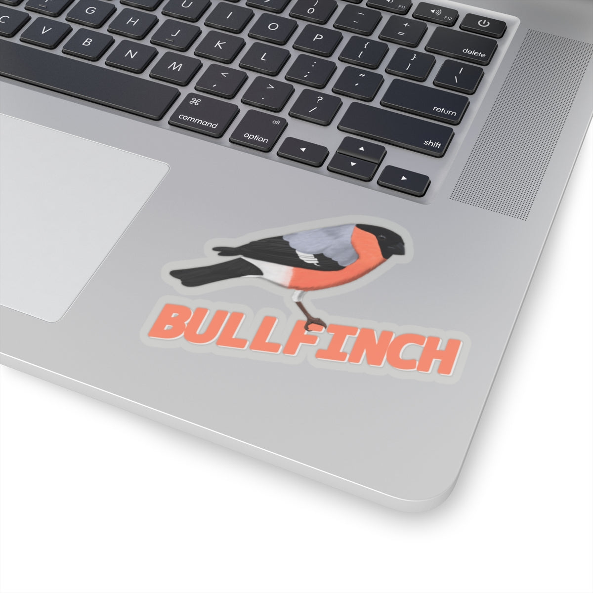 Bullfinch Sticker Bird Lover & Bird Watcher