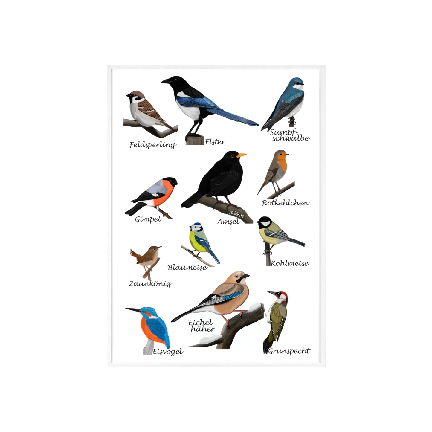 Vogel Poster im Holzrahmen - Gartenvögel Amsel Rotkehlchen Blaumeise