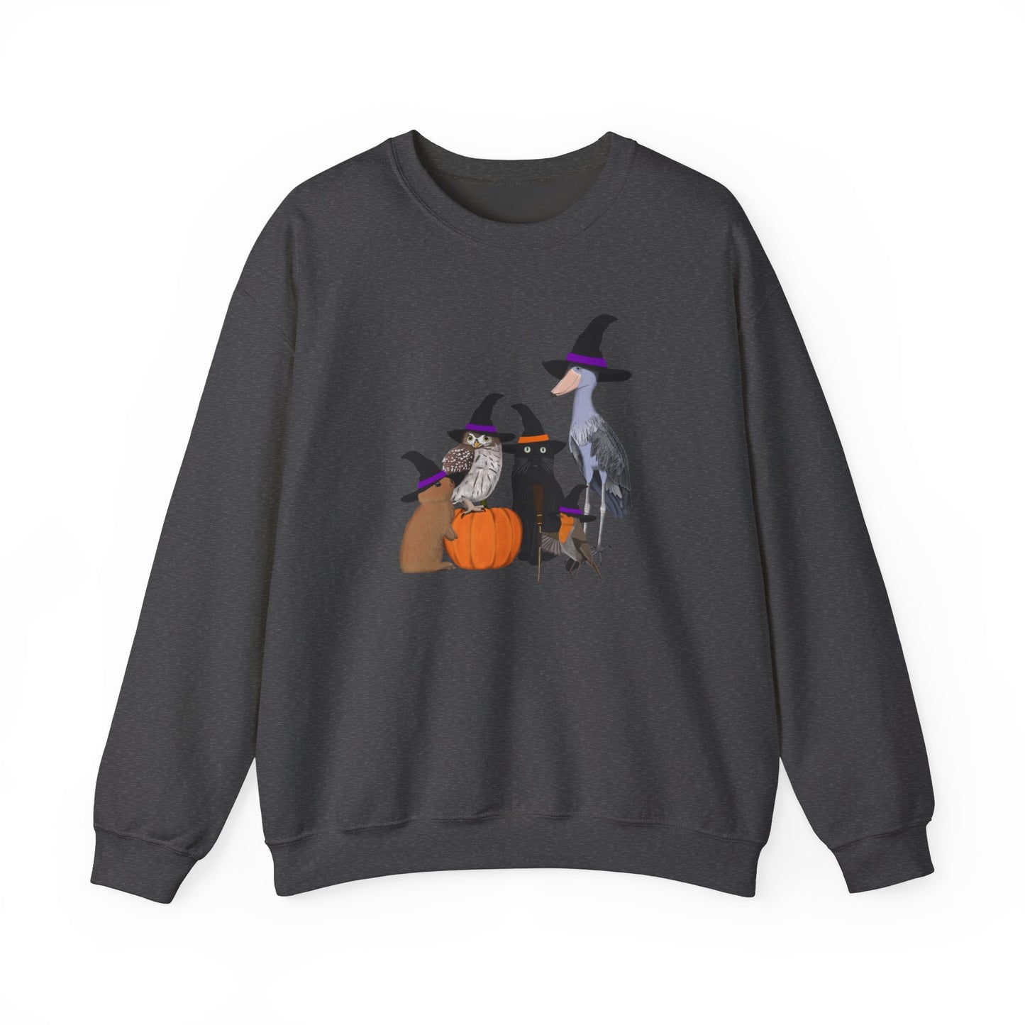 Shoebill, Robin and Owl Sweatshirt in Ash