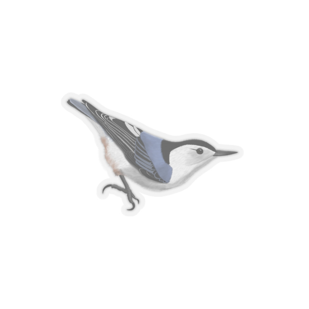 Nuthatch Bird Kiss-Cut Sticker - jz.birds