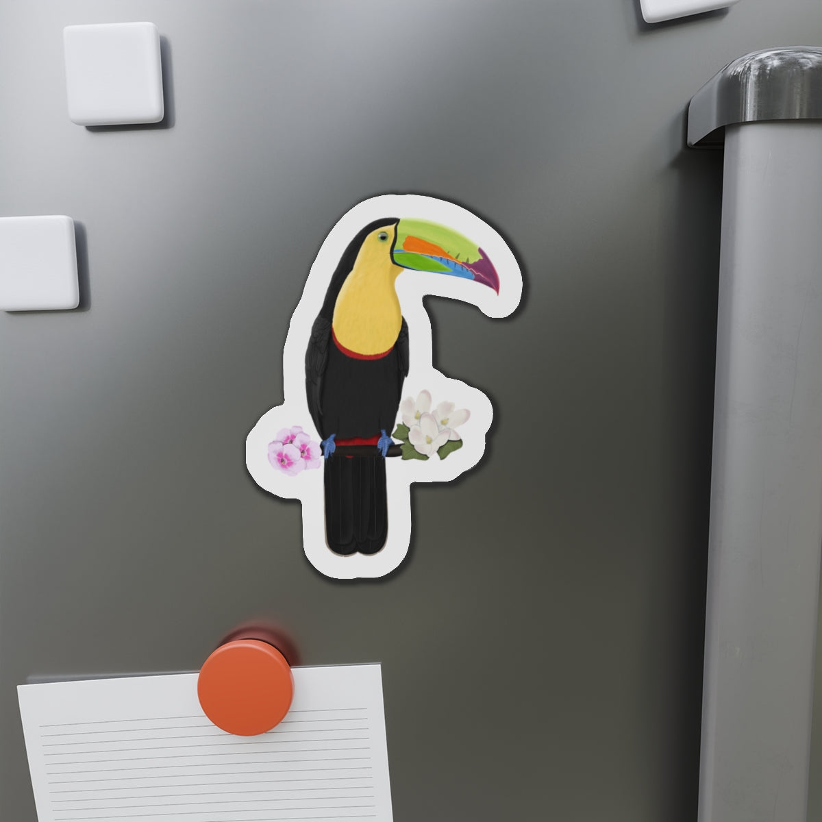 Keel-Billed Toucan Bird Magnet