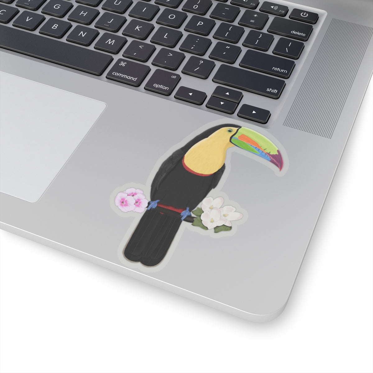 Keel-Billed Toucan Bird Sticker