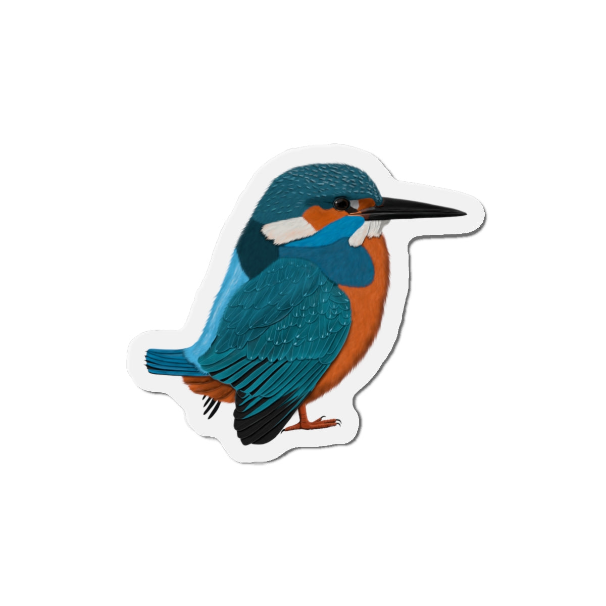 Kingfisher Bird Magnet – Home Decor