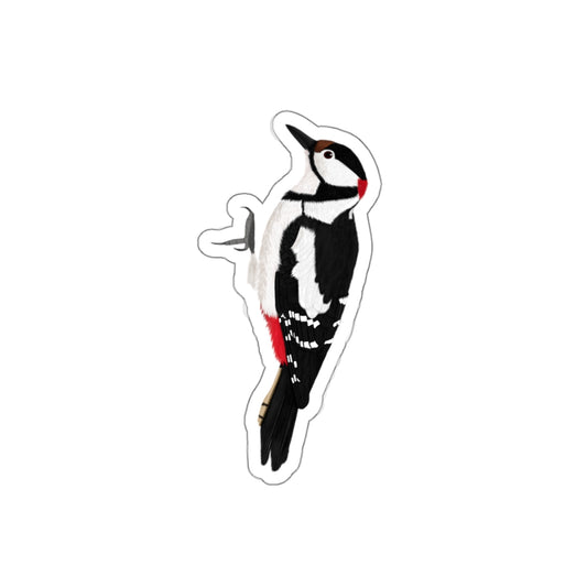 woodpecker bird sticker