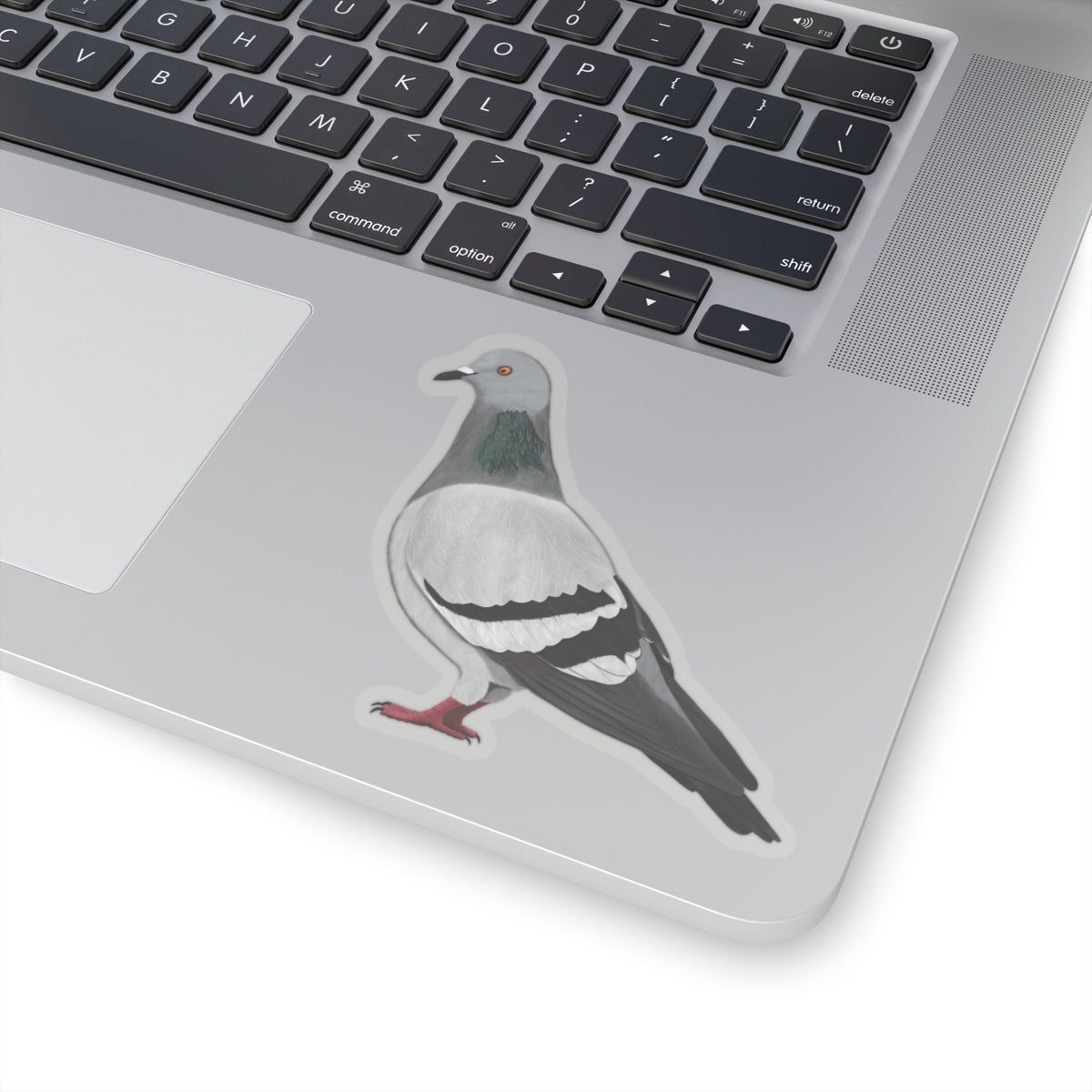 Pigeon Bird Kiss-Cut Stickers - jz.birds