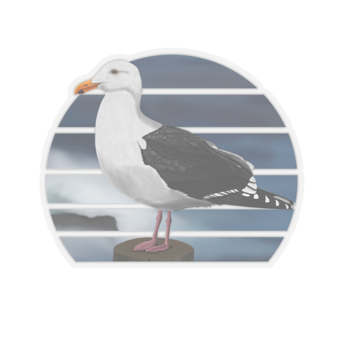 Seagull Bird Sticker