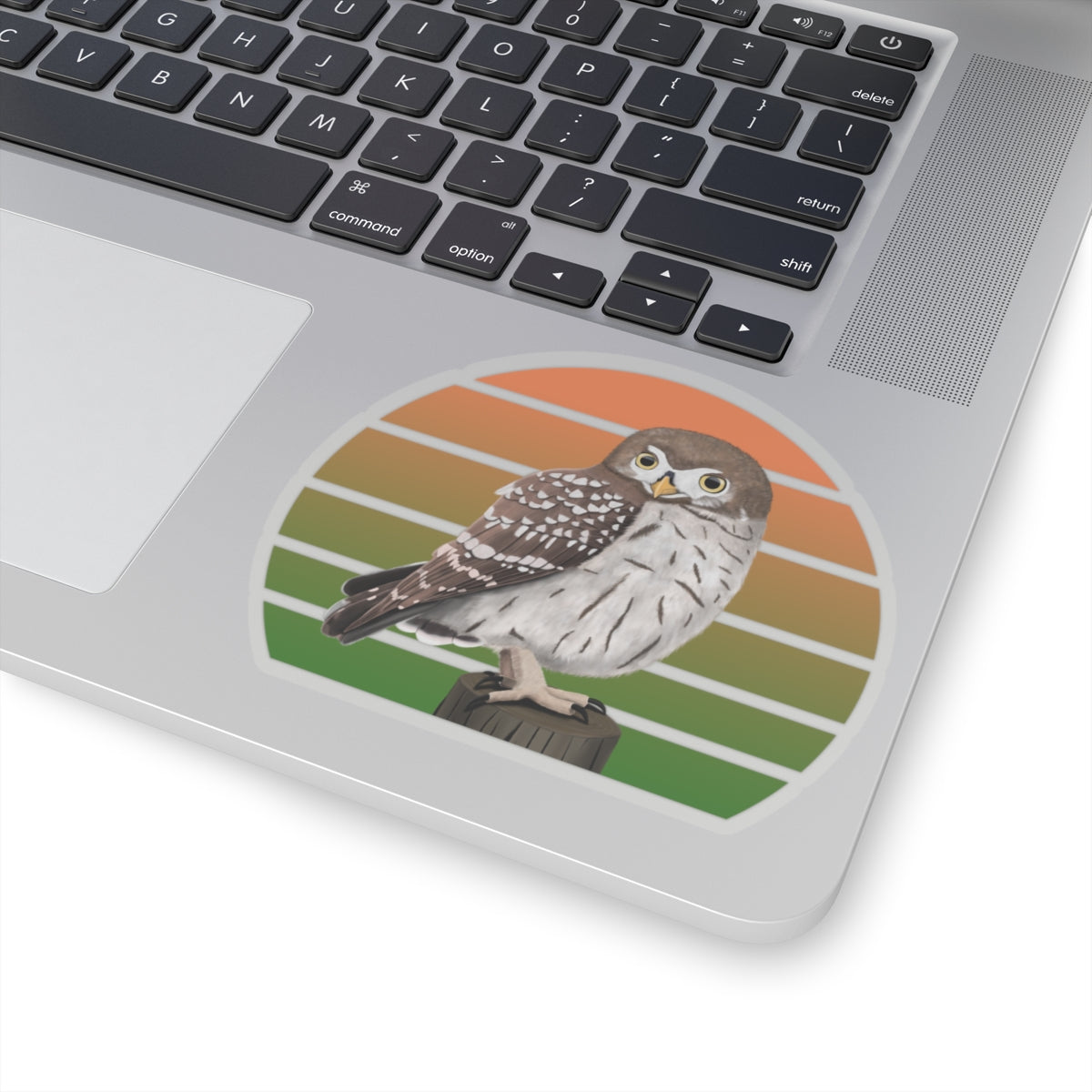 Little Owl Bird Sticker