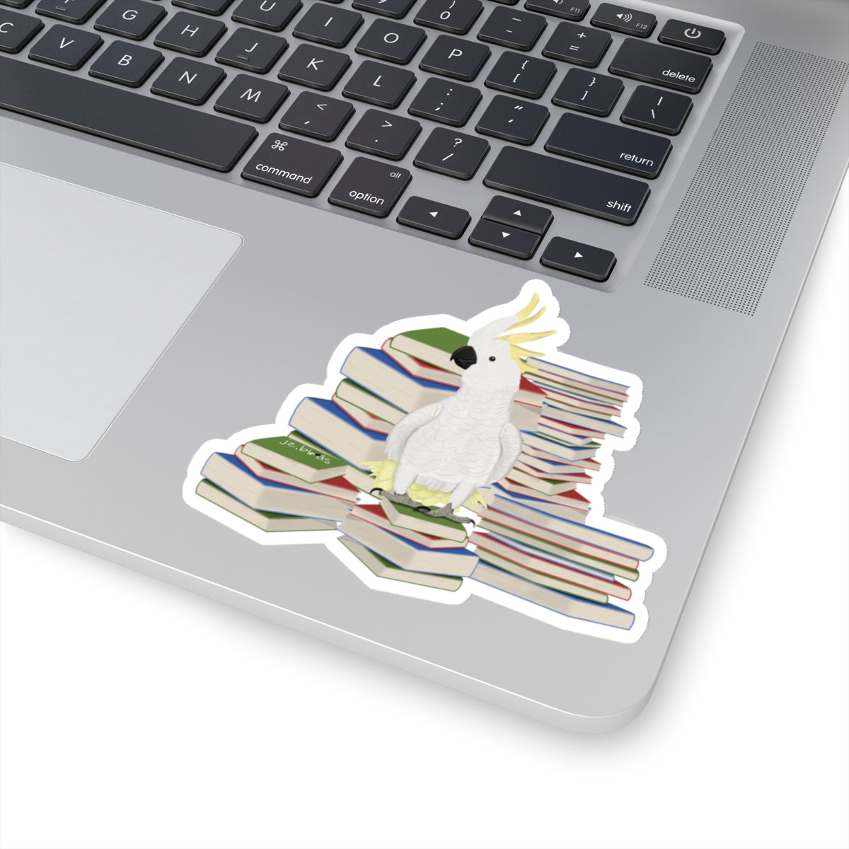Cockatoo Paper products – Fall Bestsellers and Home & Living style