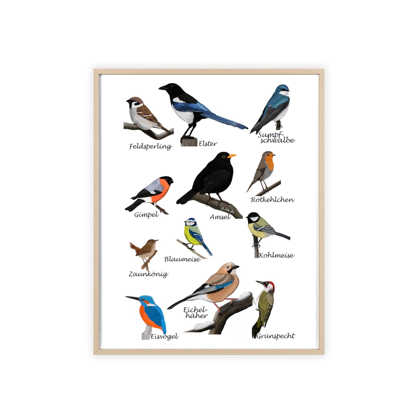 Vogel Poster im Holzrahmen - Gartenvögel Amsel Rotkehlchen Blaumeise