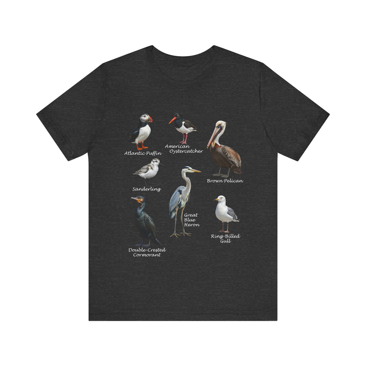 Pelican, Puffin, Heron and Gull T-Shirt in Black