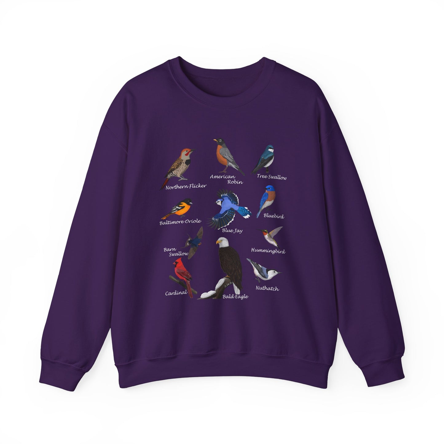 Hummingbird, Blue Jay, Cardinal, Oriole and Robin Bird Sweatshirt – Animal Lover Gift, Avian Enthusiast