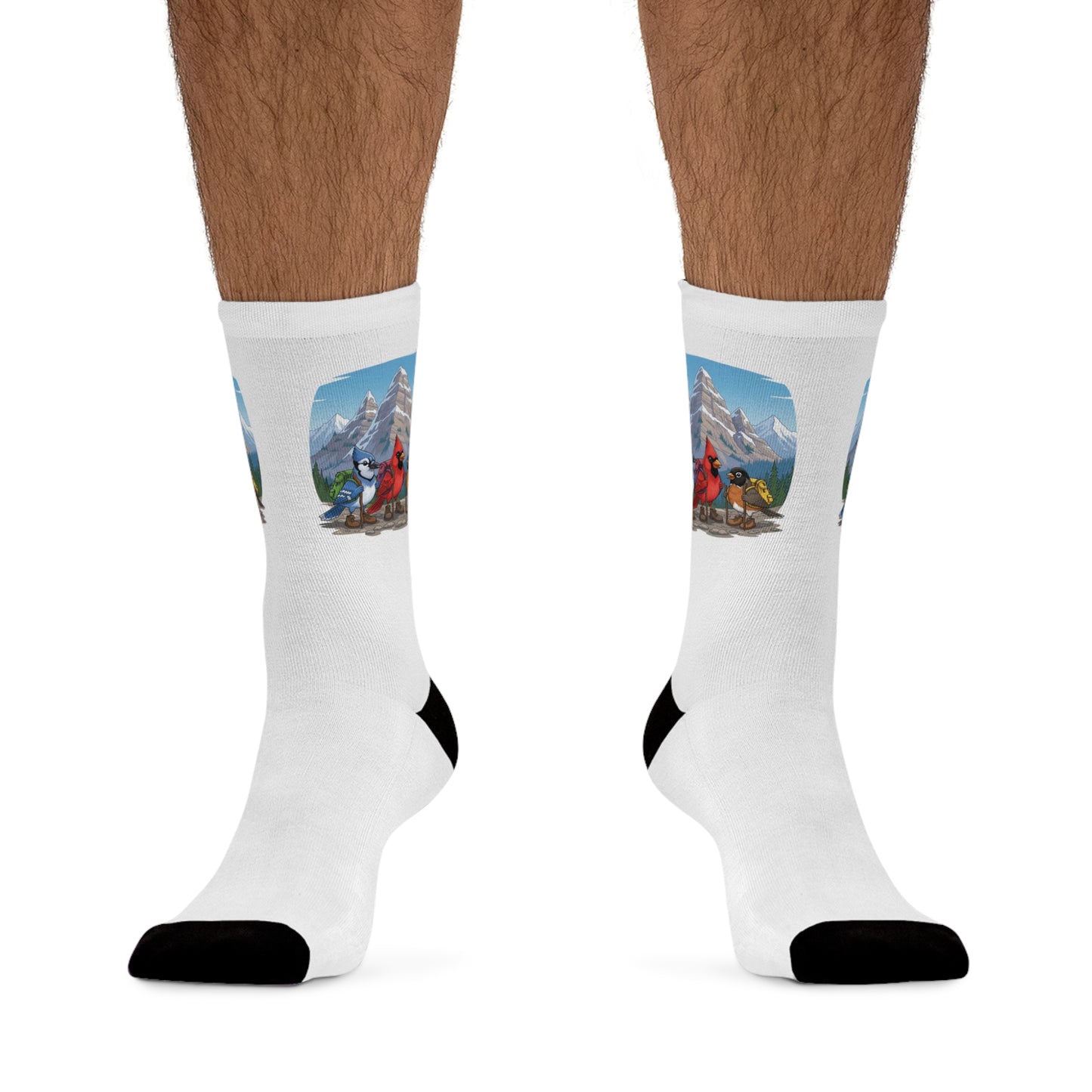 Blue Jay Cardinal Robin on a Hike Bird Socks White for Bird and Hiking Lovers One Size