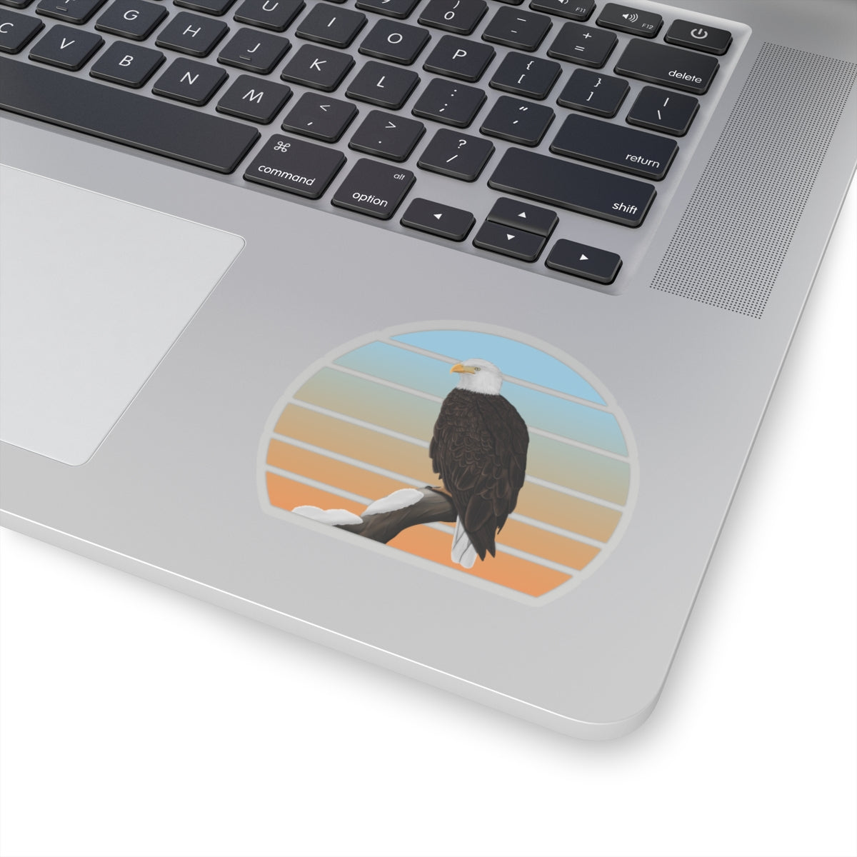 Bald Eagle Bird Sticker