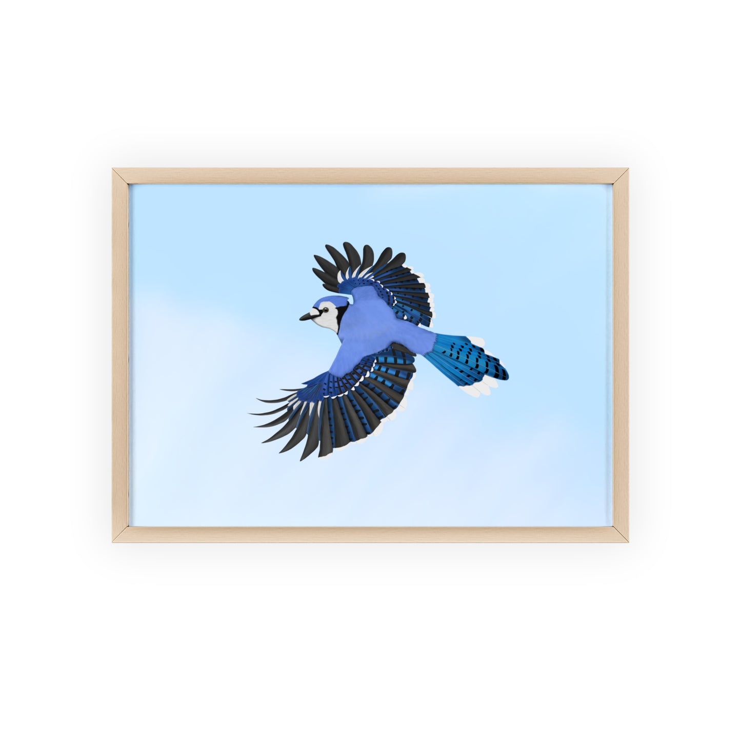 Vogel Poster im Holzrahmen - Blue Jay Poster Gartenvogel Singvogel