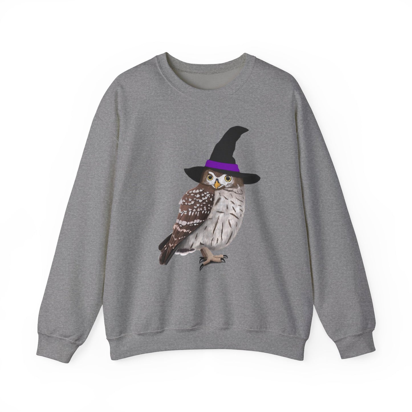Owl Halloween Witch Birdwatcher Biologist Bird Sweatshirt