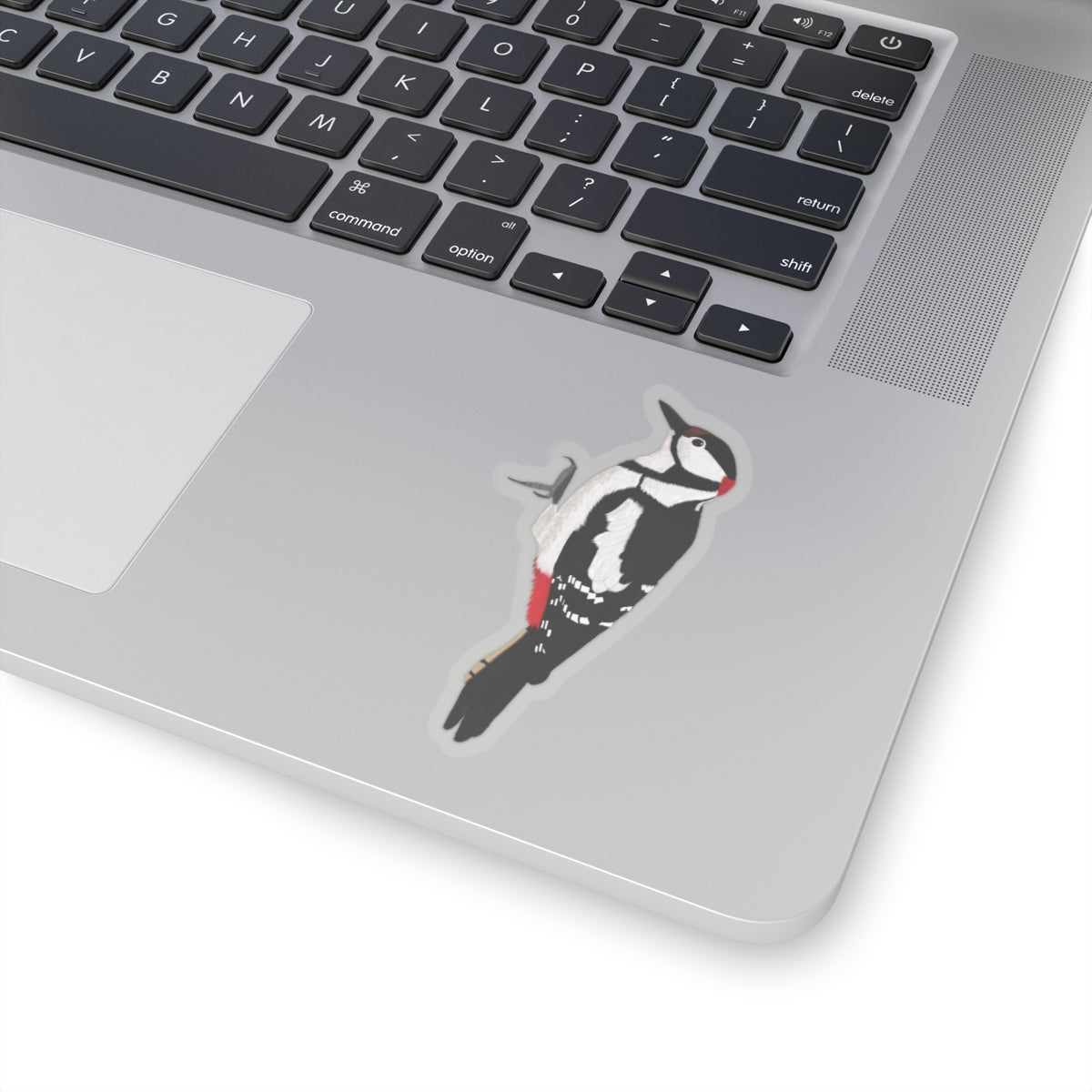 Woodpecker Bird Kiss-Cut Sticker