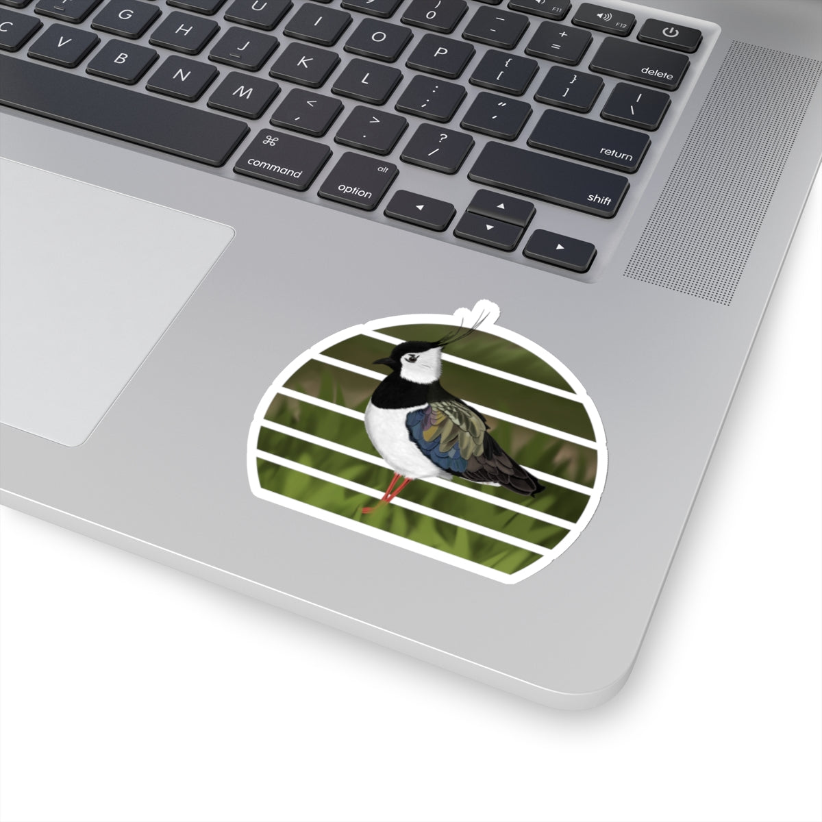 Lapwing Bird Sticker