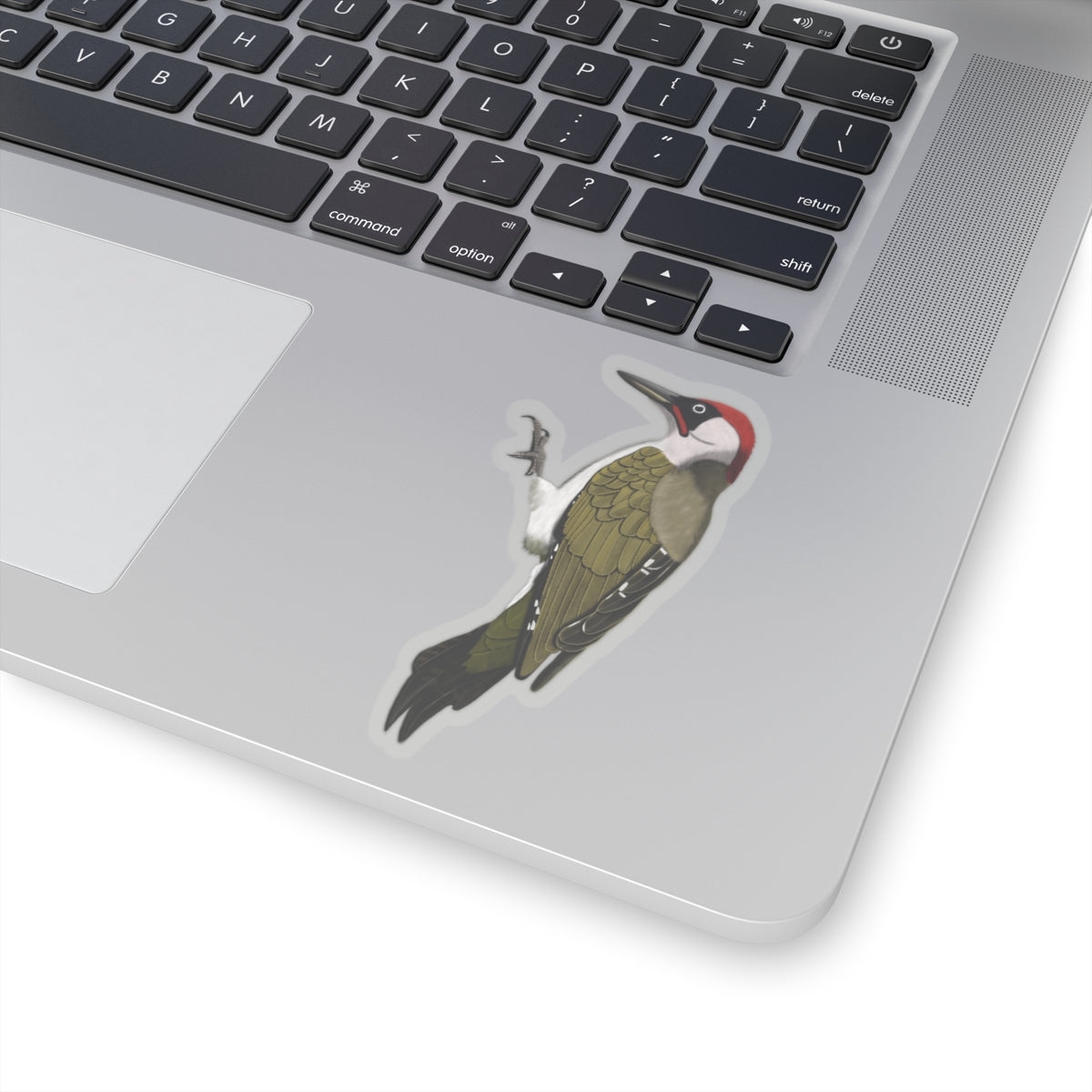 Green Woodpecker Bird Kiss-Cut Sticker - jz.birds