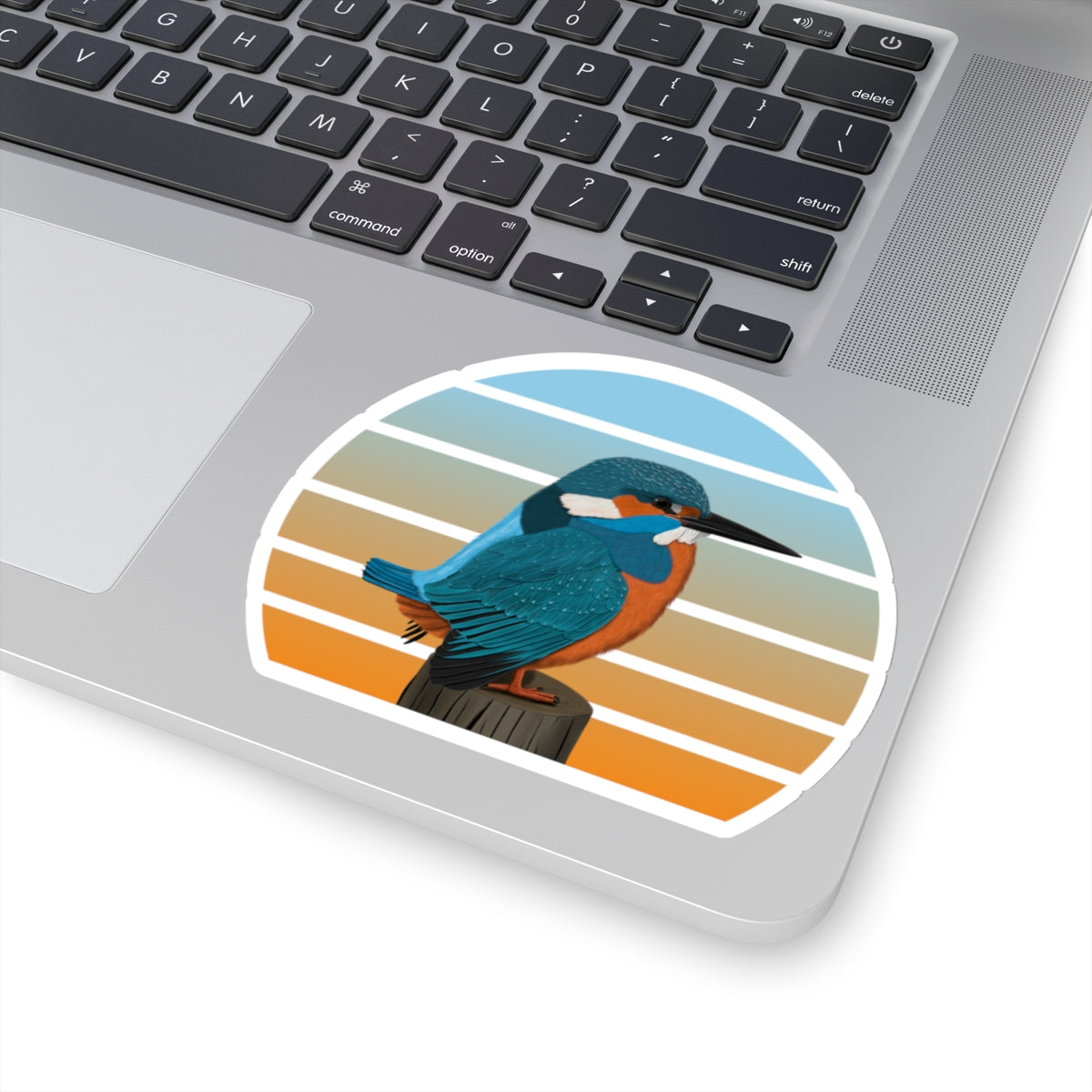 Kingfisher Bird Sticker – Home & Living, Paper products