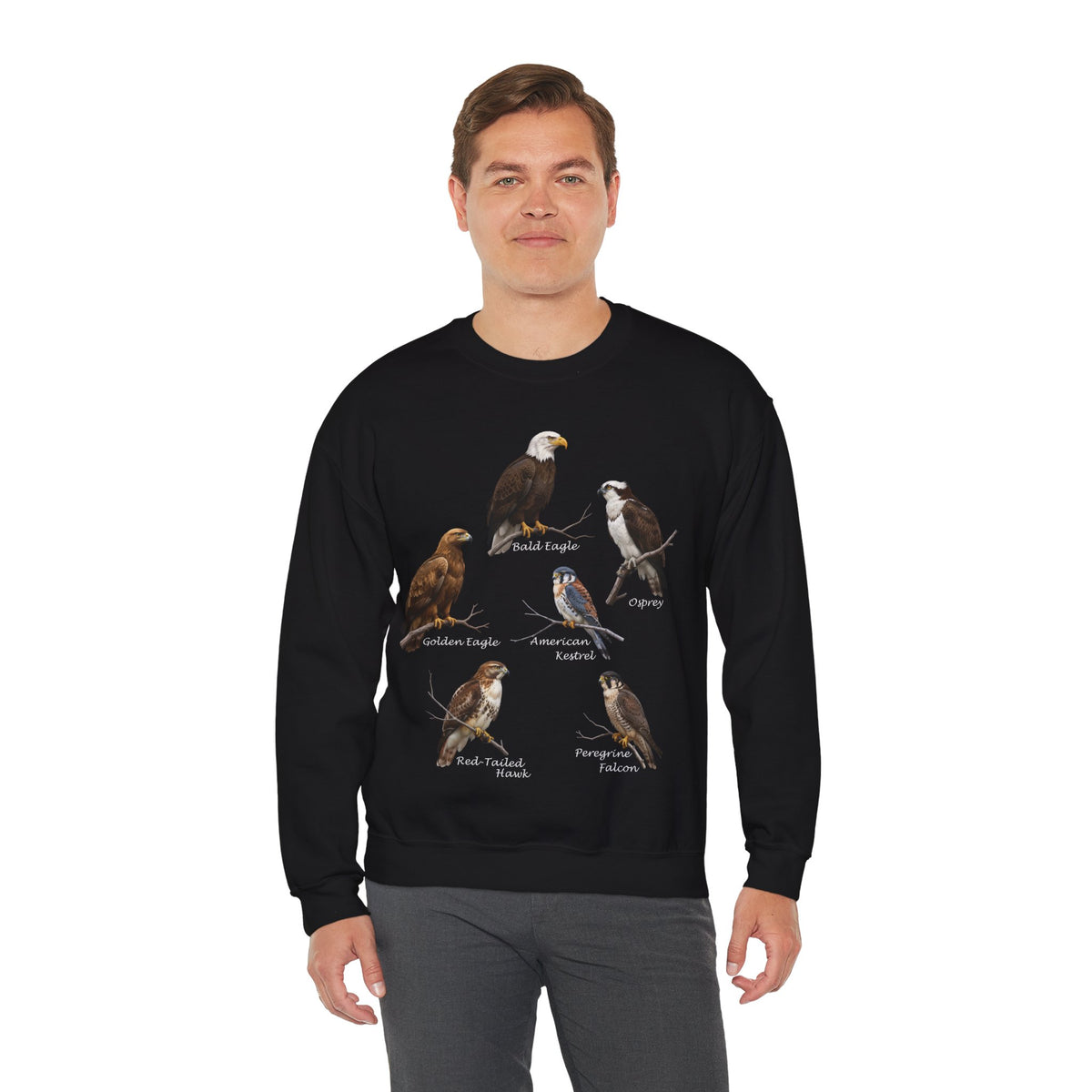 Falcon, Eagle and Hawk Sweatshirt – Animal Lover Gift Avian Enthusiast style