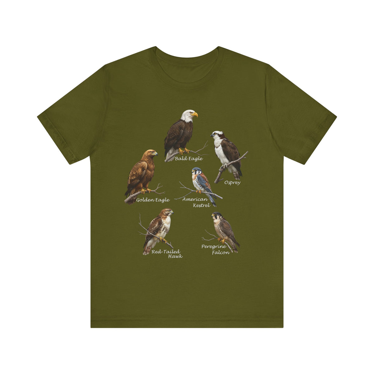 North American Raptors Shirt – Bald Eagle, Hawk, Osprey & Falcon Field Guide – bird lover t-shirt,