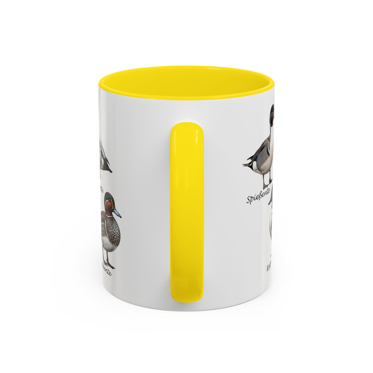 Tasse avec espèces de canards : canard souchet, canard mandarin & Cie | Anse colorée | Ornithologie