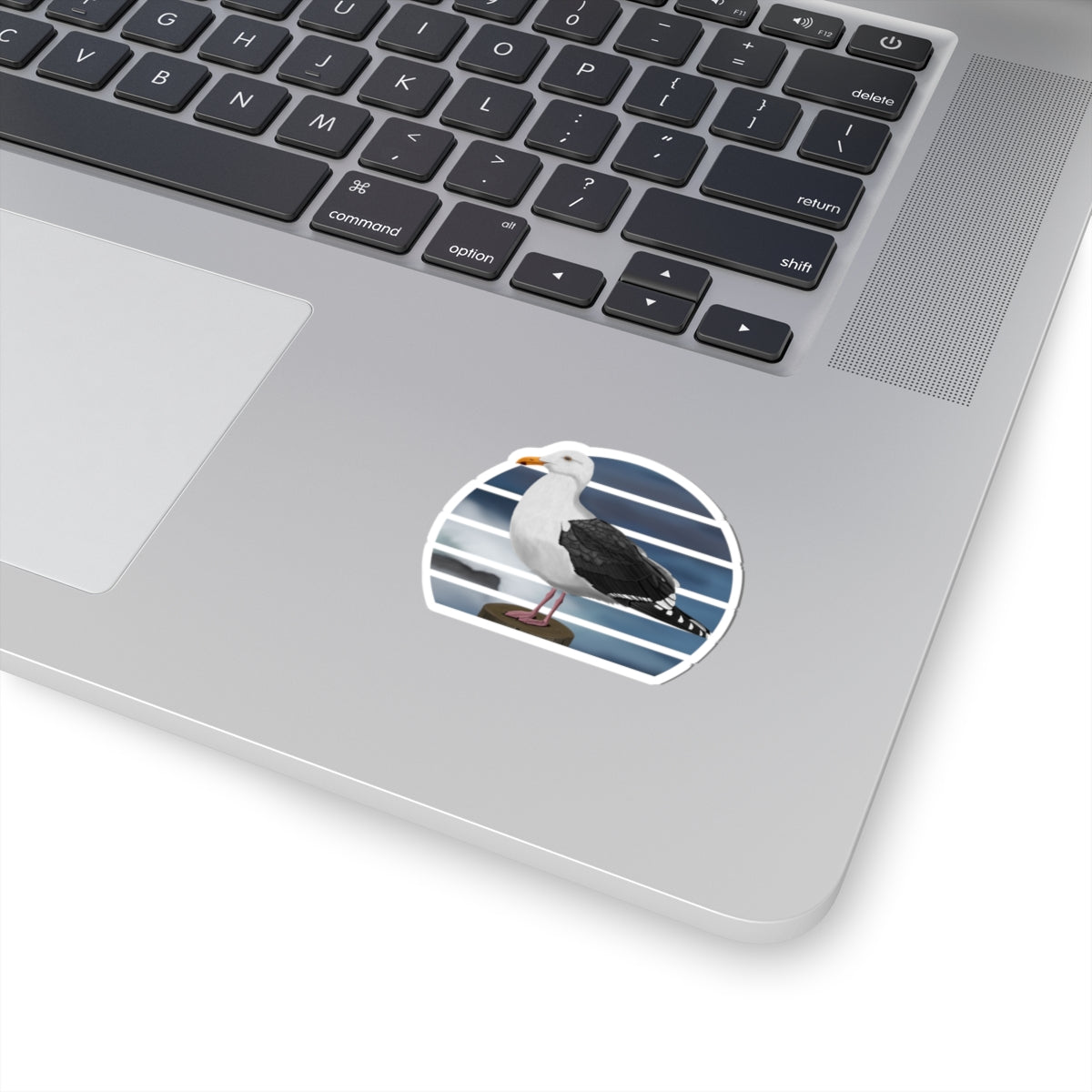 Seagull Bird Sticker