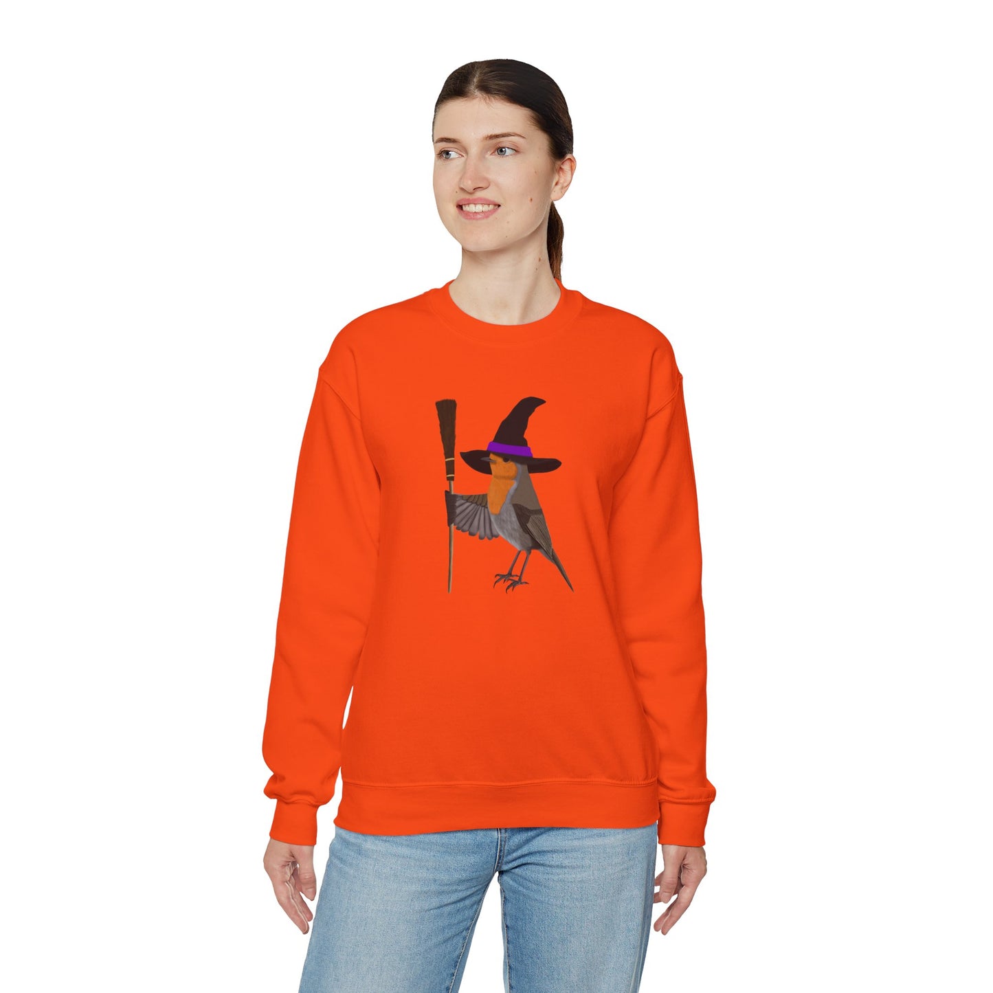 Robin Halloween Witch Birdwatcher Biologist Bird Sweatshirt