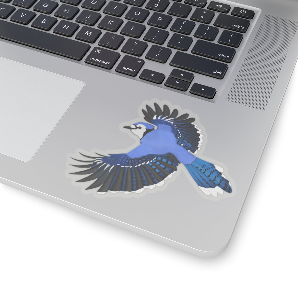 Blue Jay Birdwatcher Biologist Bird Kiss-Cut Sticker