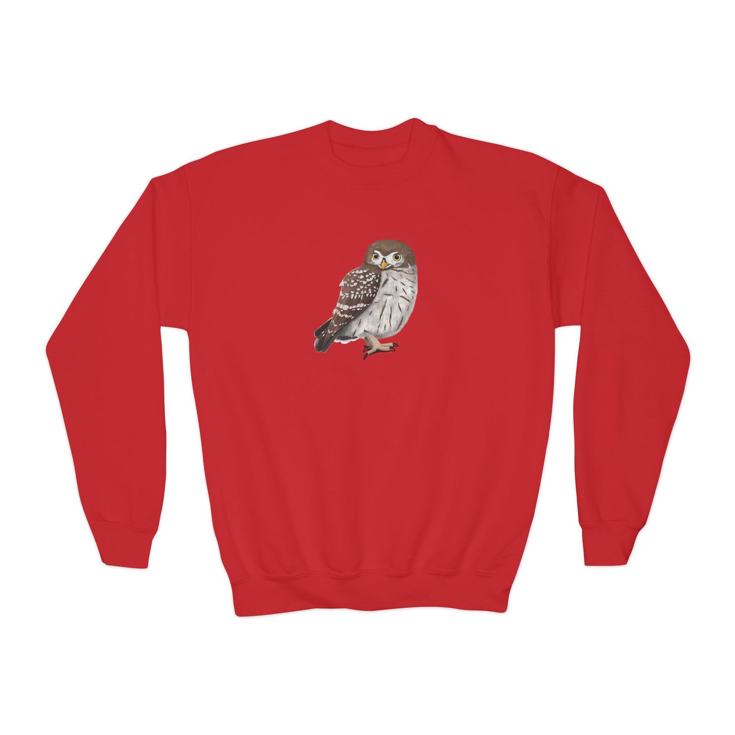 Little Owl Bird Birdwatching Youth Crewneck Sweatshirt – Casual Kids Clothing, Sweatshirts