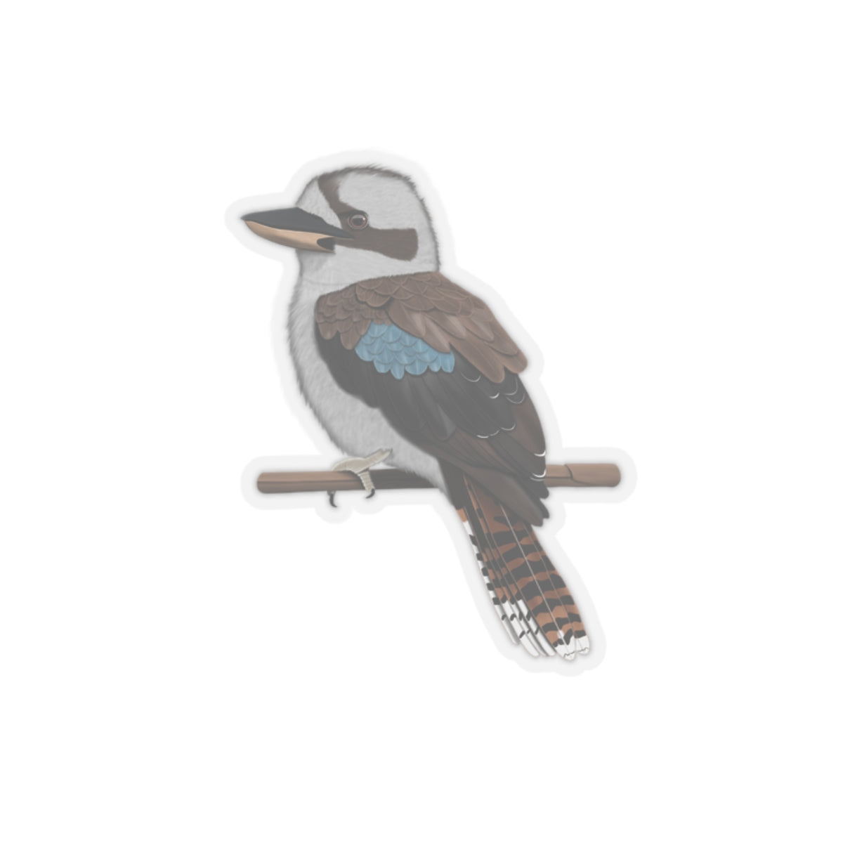 Kookaburra Bird Kiss-Cut Sticker - jz.birds