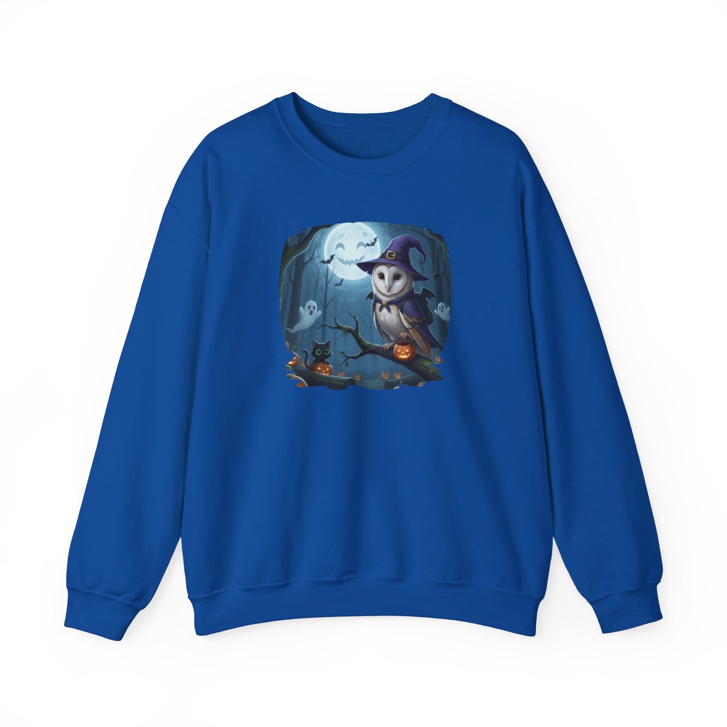 Barn Owl Halloween Bird Sweatshirt - Spooky Halloween Costume for Bird Lovers