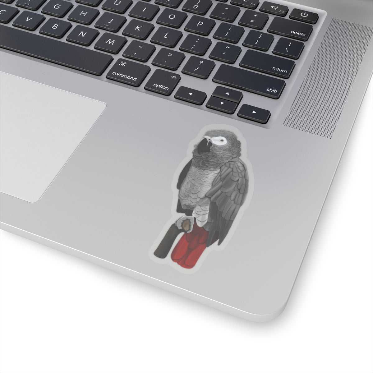 Grey Parrot Bird Kiss-Cut Sticker - jz.birds