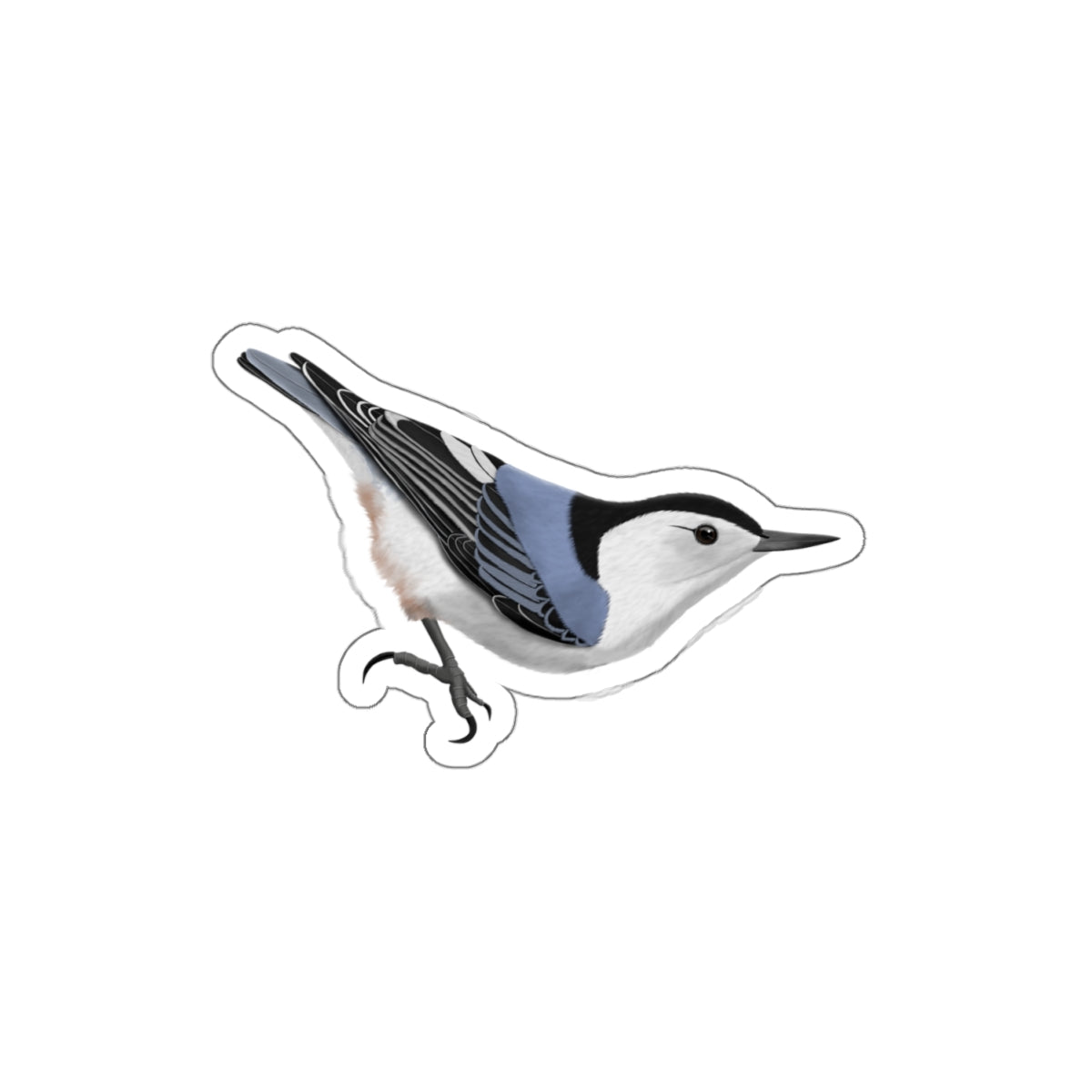 Nuthatch Bird Kiss-Cut Sticker