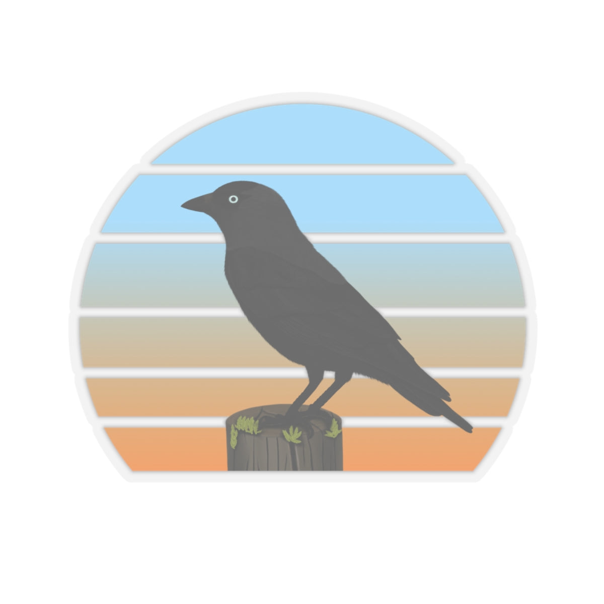 Jackdaw Bird Sticker