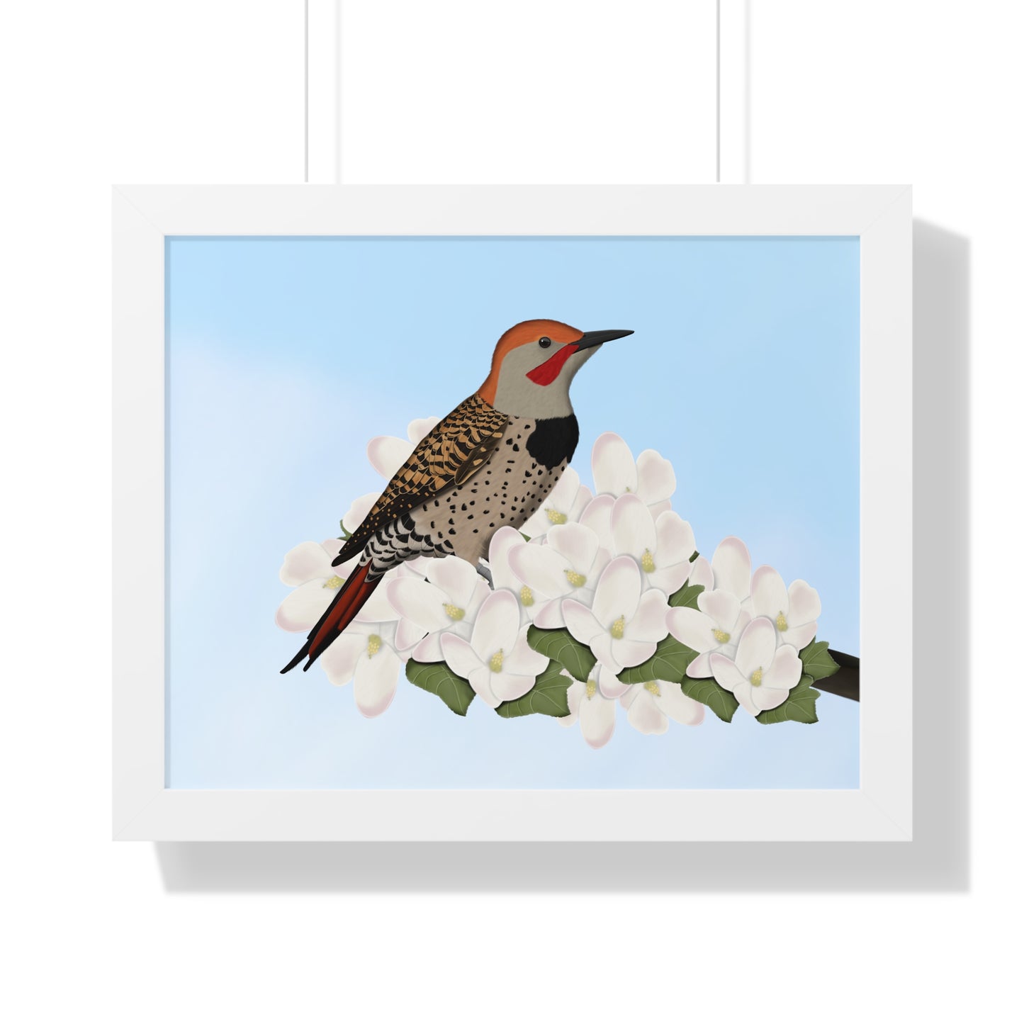 Northern Flicker Spring Blossoms Bird Framed Poster