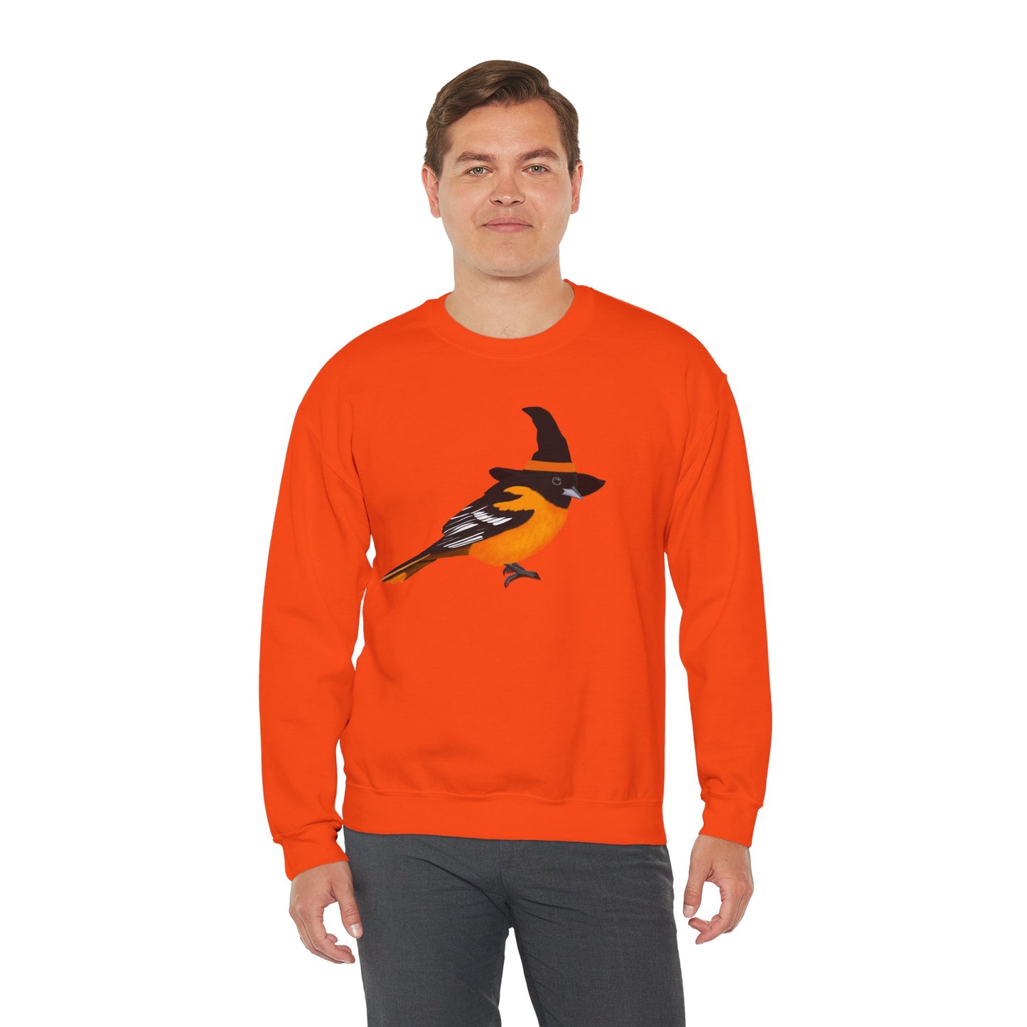 Baltimore Oriole Halloween Witch Birdwatcher Biologist Bird Sweatshirt
