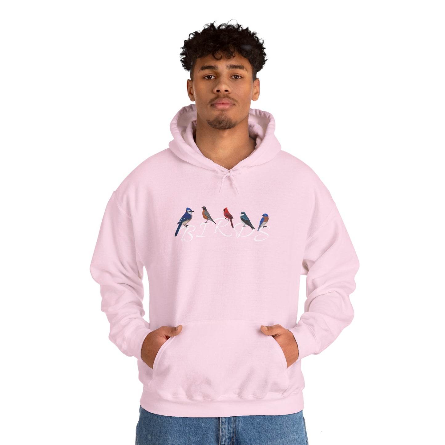 Birds Blue Jay Cardinal Robin Tree Swallow Bluebird Birding & Birdwatching Hoodie
