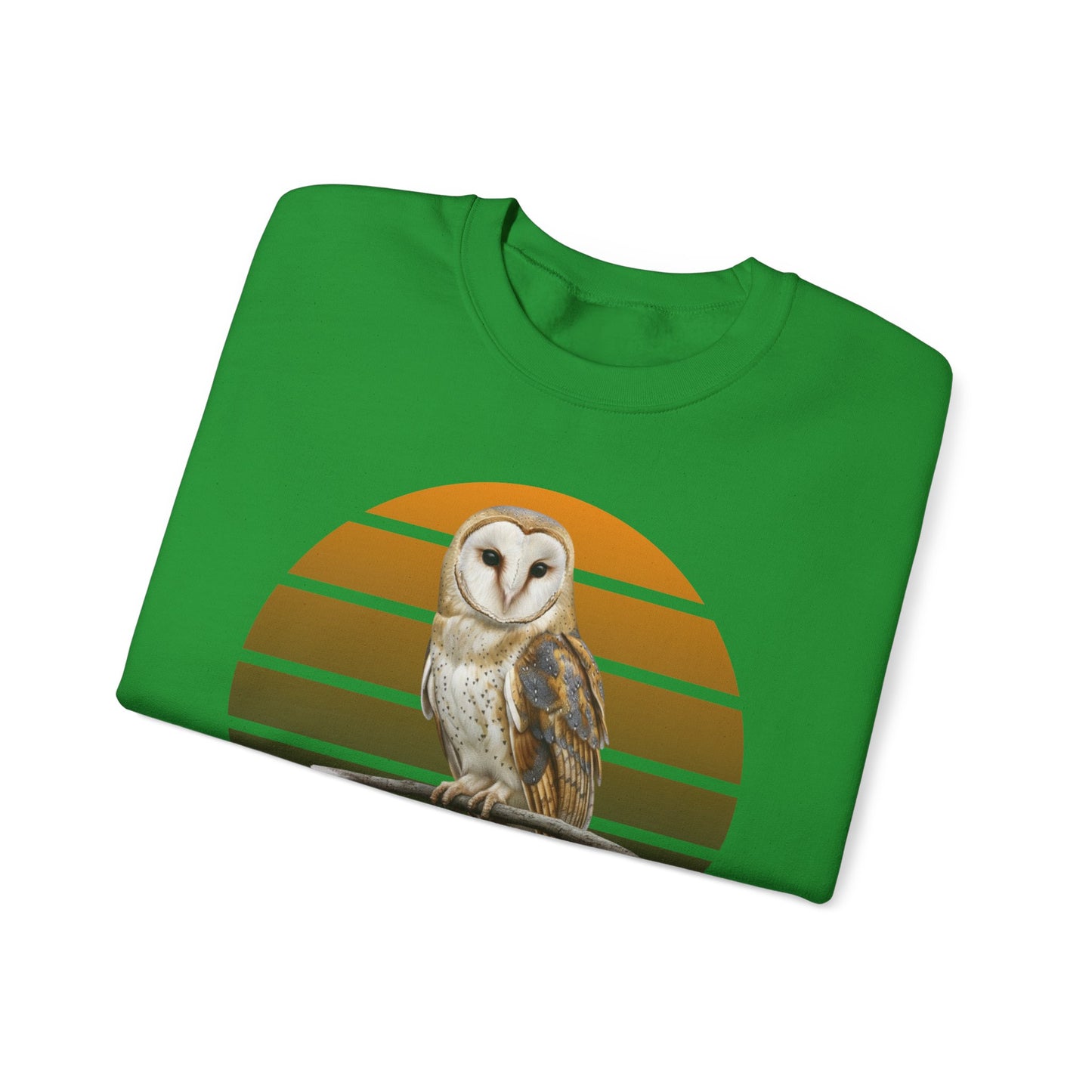 Barn Owl Sweatshirt | Bird Watcher Crewneck | Unisex Songbird Gift for Bird Lovers