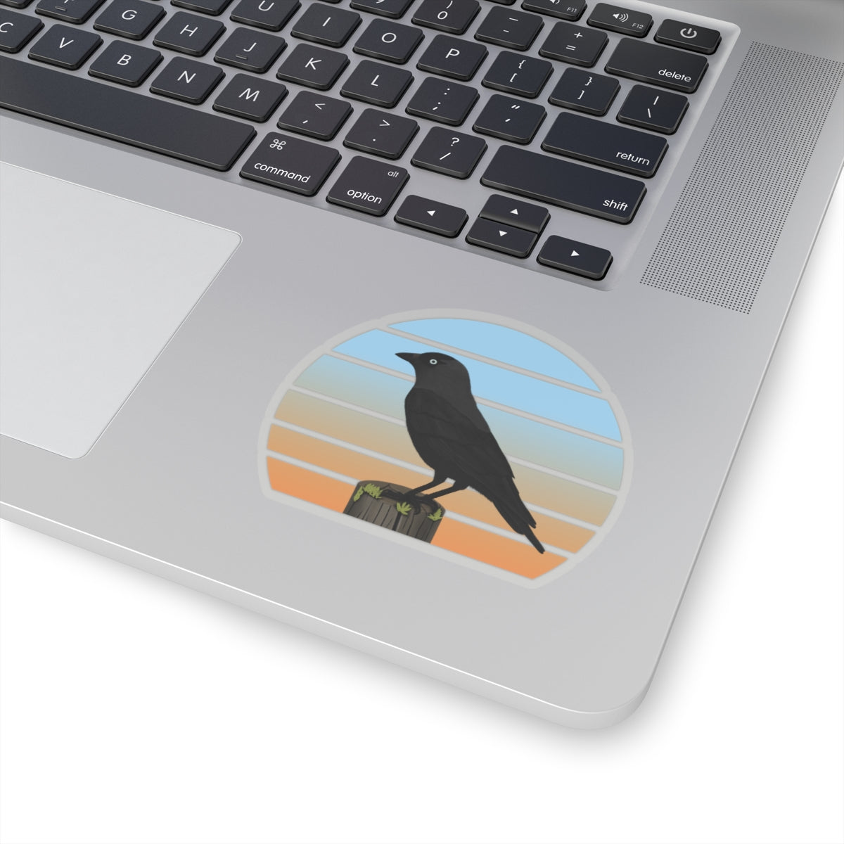 Jackdaw Bird Sticker