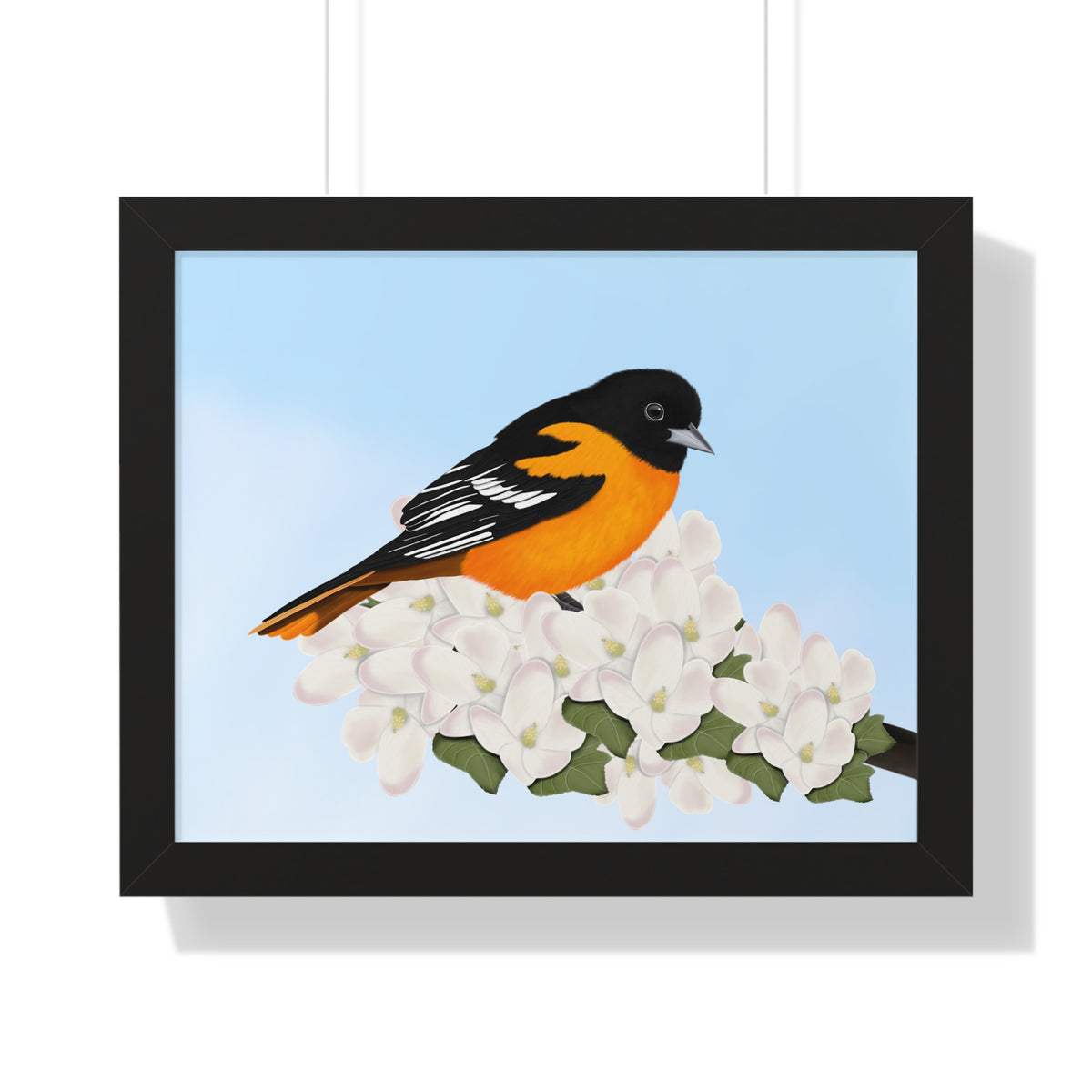 Baltimore Oriole Framed Poster – and Home & Living style