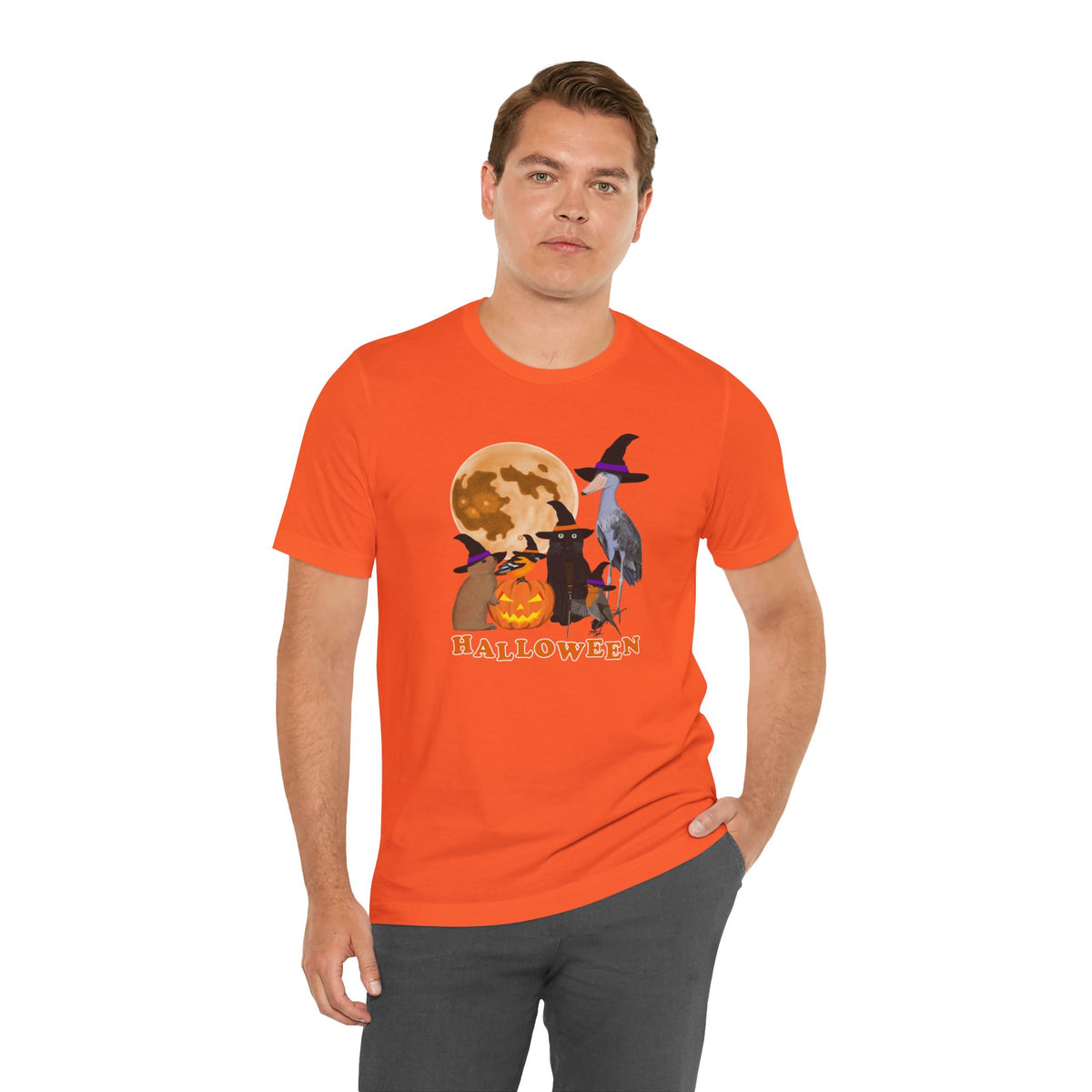 Baltimore Oriole Robin Shoebill with Cat and Bunny Halloween Bird T-Shirt