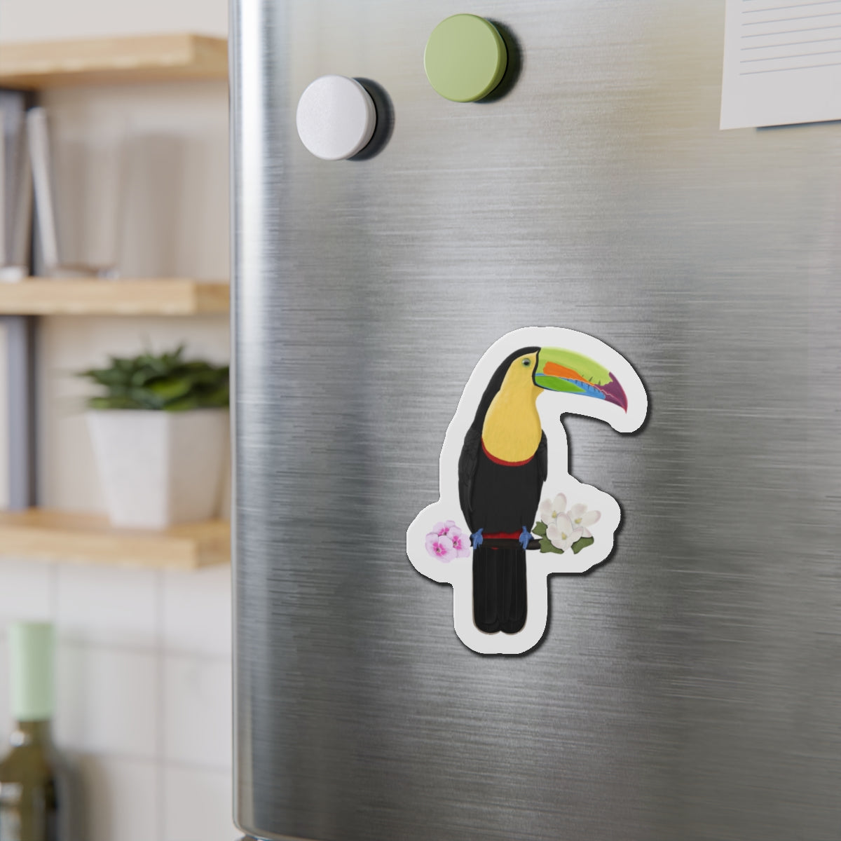 Keel-Billed Toucan Bird Magnet