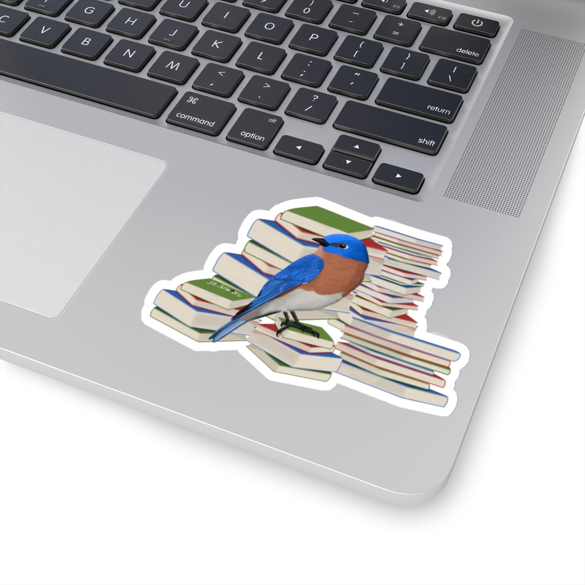Bluebird Paper products – Fall Bestsellers and Home & Living style