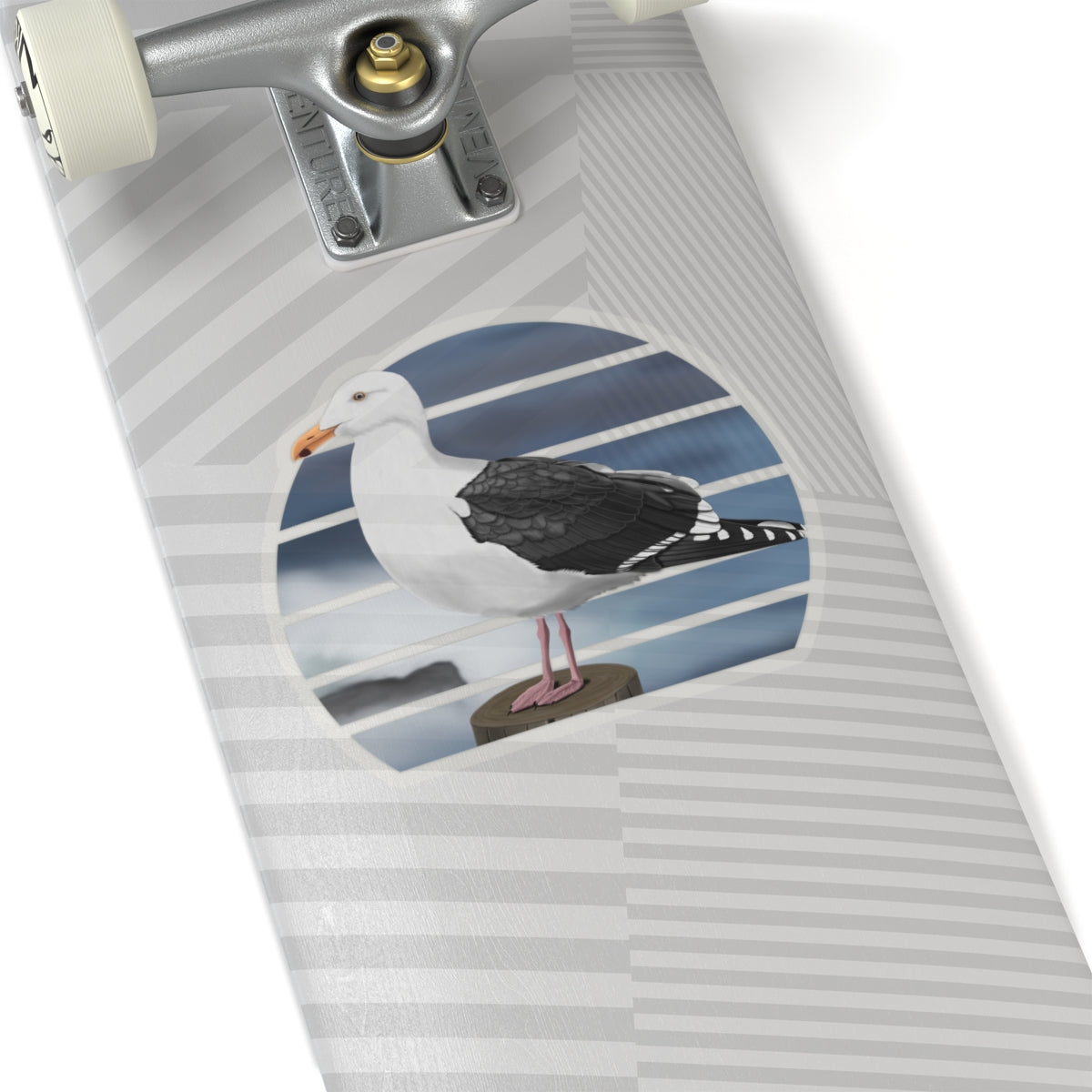 Seagull Bird Sticker