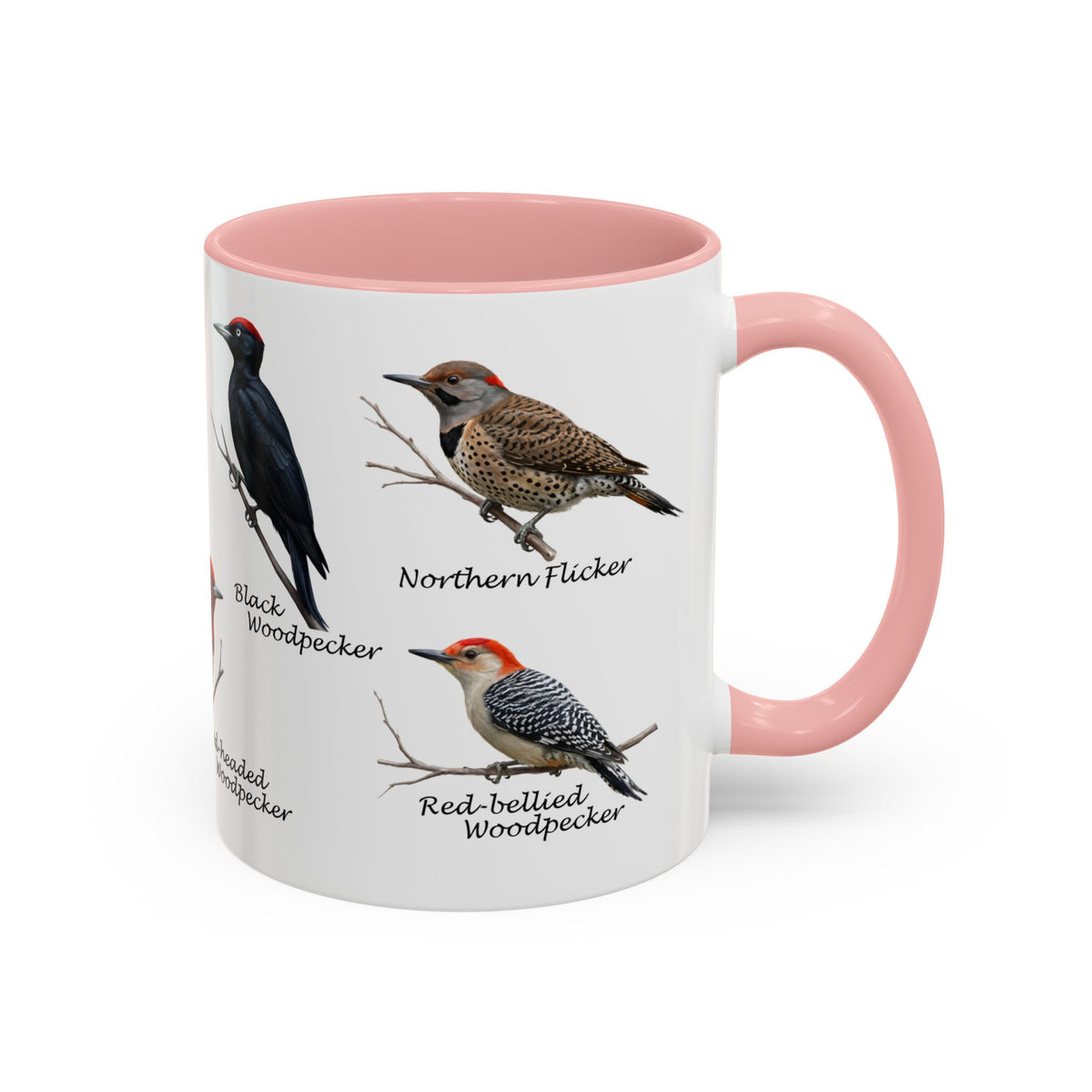 Woodpecker Field Guide Coffee Mug | Two-Tone Bird Watcher Accent Cup – 11 oz,