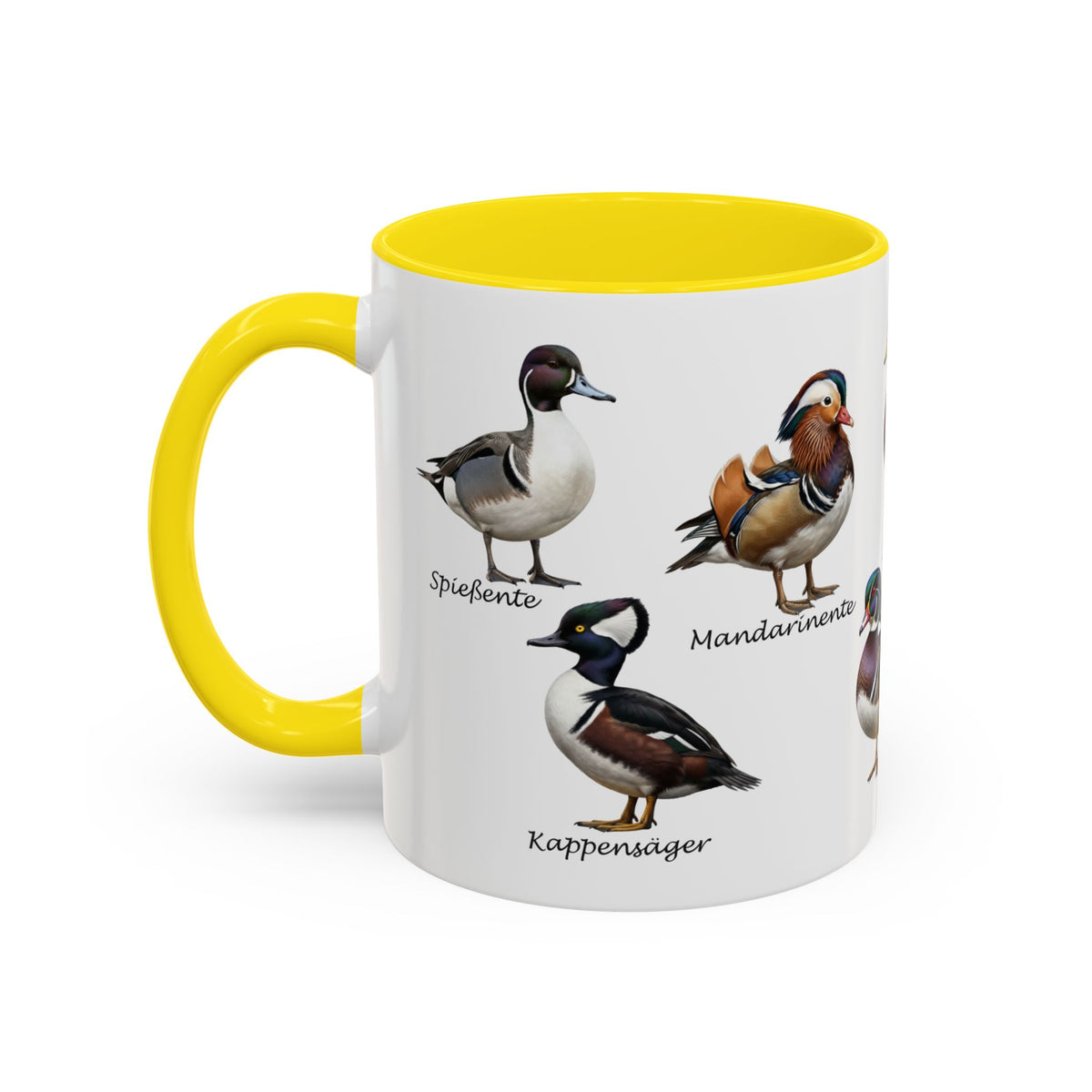 Tasse avec espèces de canards : canard souchet, canard mandarin & Cie | Anse colorée | Ornithologie